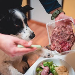 Zvěřinový BARF 500 g