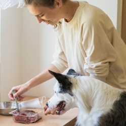 Zvěřinový BARF 500 g