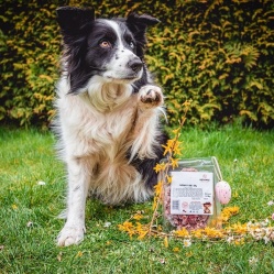 Zvěřinový BARF 500 g