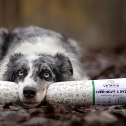 Zvěřinový s rýží 850 g