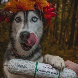 Zvěřinový s rýží 850 g