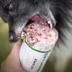 Zvěřinový s rýží 850 g